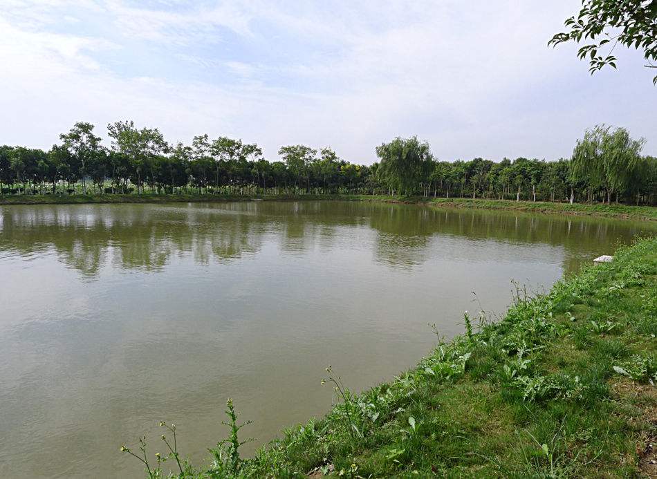 留車鎮陂下村櫻花谷水保生態示范園建設工程